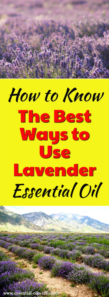 Lavender Oil - How to Know the Best Ways to Use Lavender Essential Oil